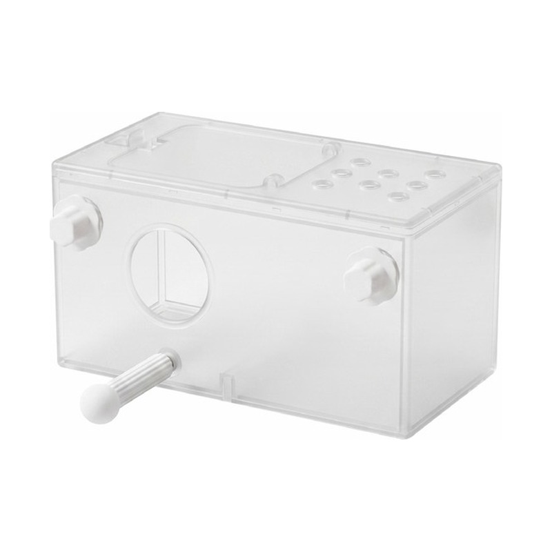 Transparent Breeding Box