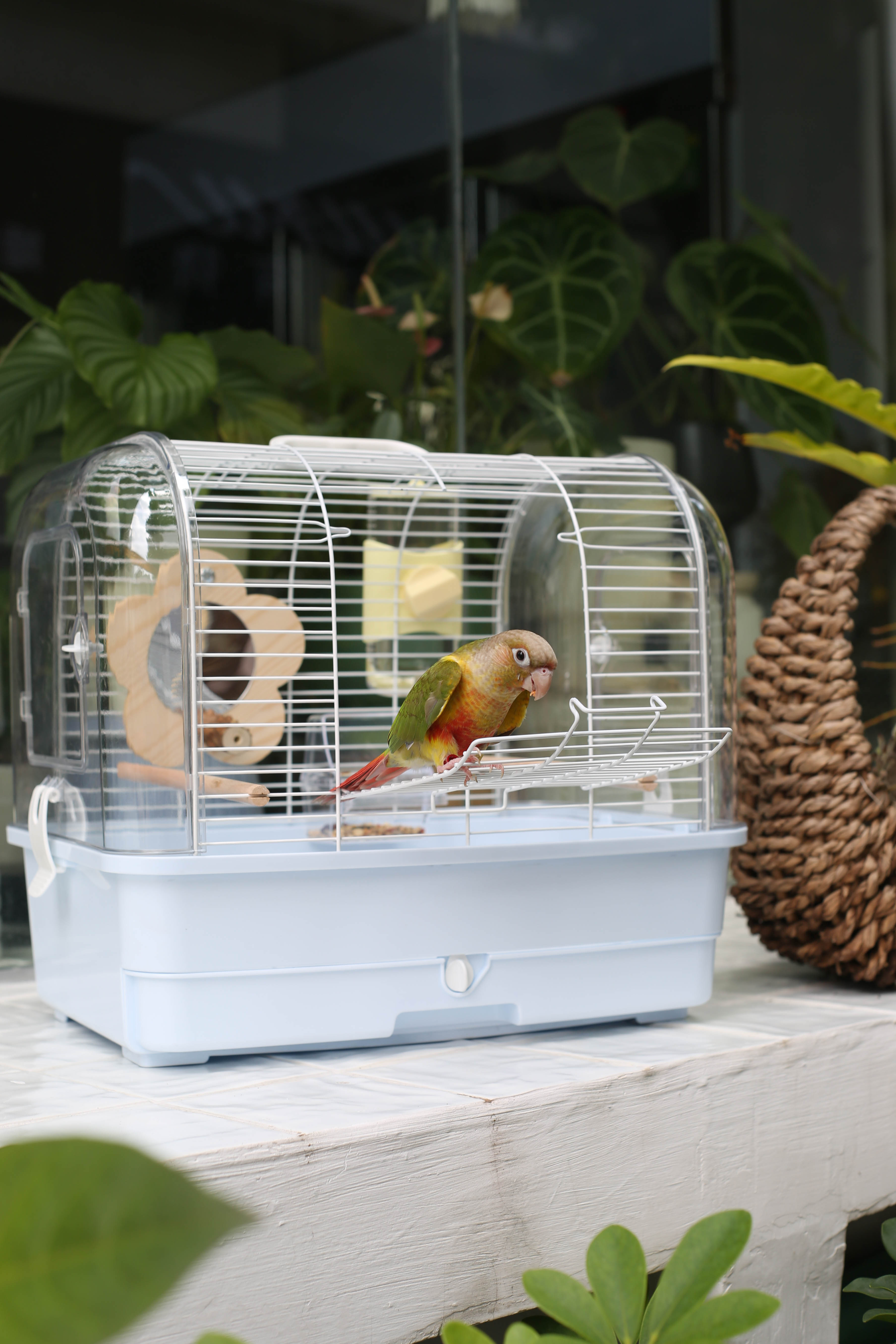 42 External Travel Cage view 4