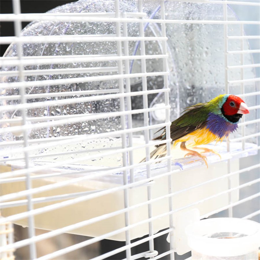 Hanging Bird Bathroom & Feeder view 4