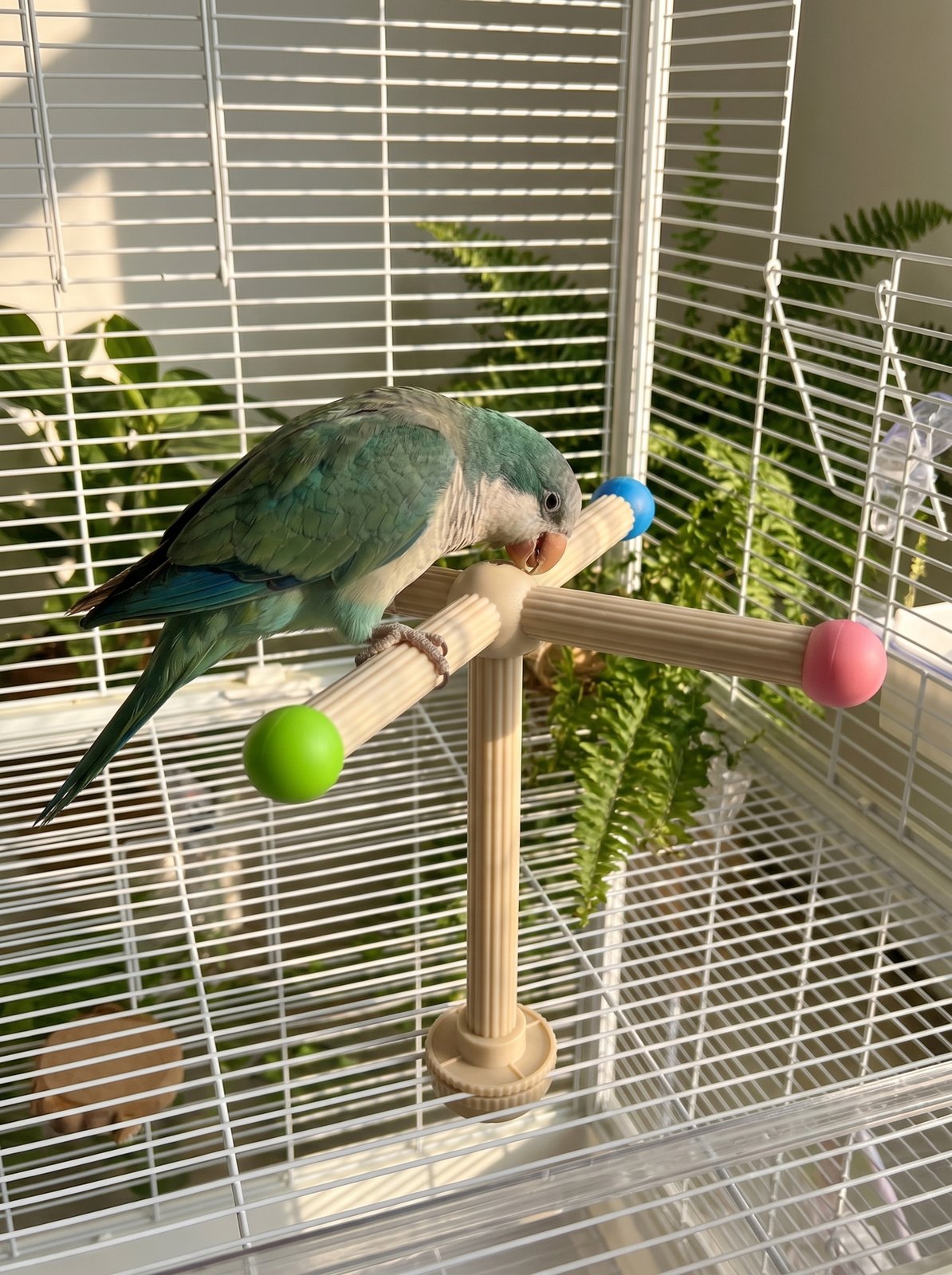 Bird Spinning Windmill Toy view 2